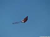 PENVINS-2009-102