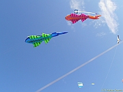 P7140022