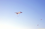 Penvins-2013_0102