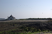 Penvins-2013_0160