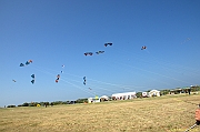 Penvins-2013_0418