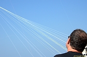 Penvins-2013_0420