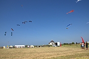 Penvins-2013_0424