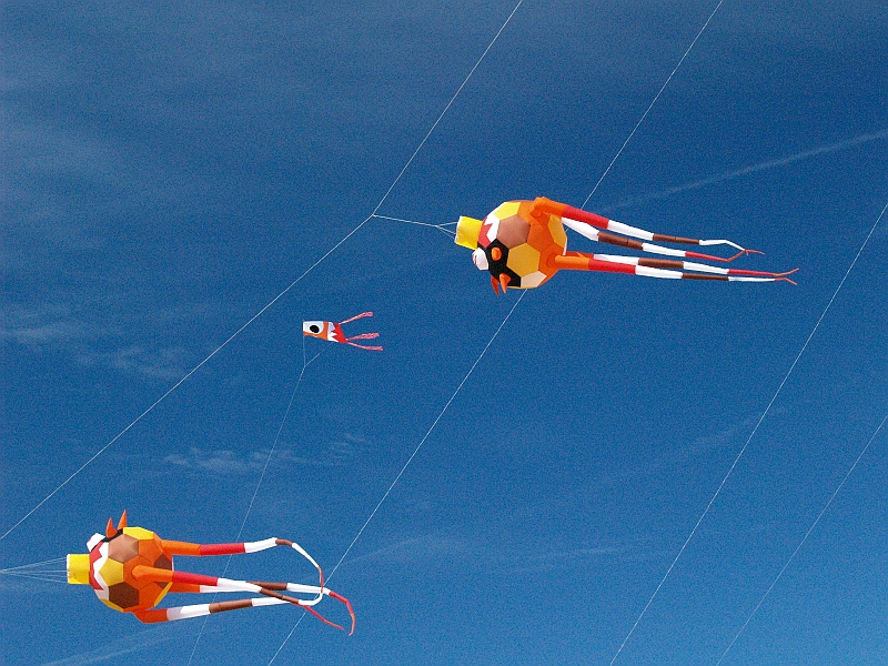 penvins_2007-020.JPG