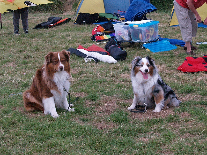 penvins_2007-038.JPG