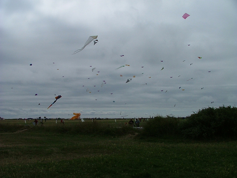 penvins_2007-050.JPG