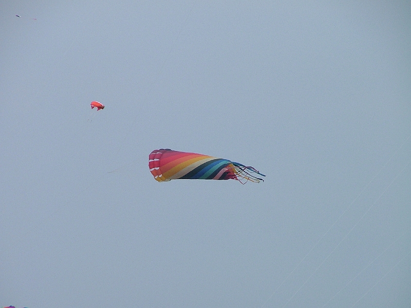 penvins_2007-069.JPG