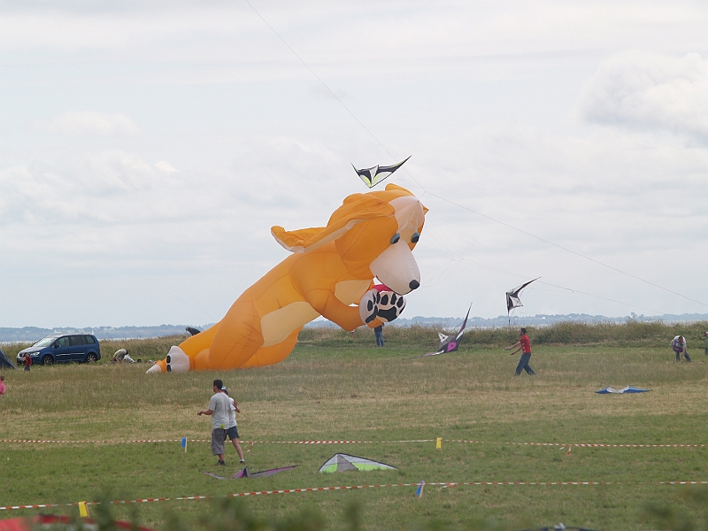 penvins_2007-085.JPG