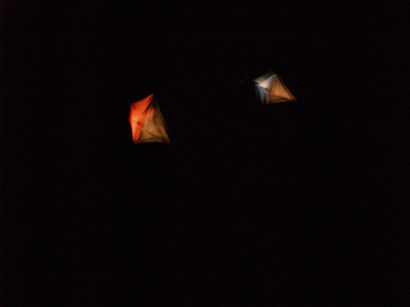 penvins_2007-119.JPG
