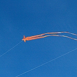 penvins_2007-017