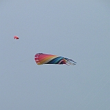 penvins_2007-069