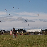 penvins_2007-098