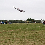 penvins_2007-197