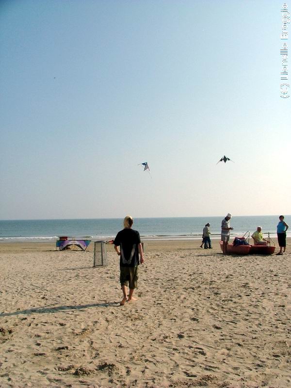 ecupcervia2005-0111.jpg - ASCII