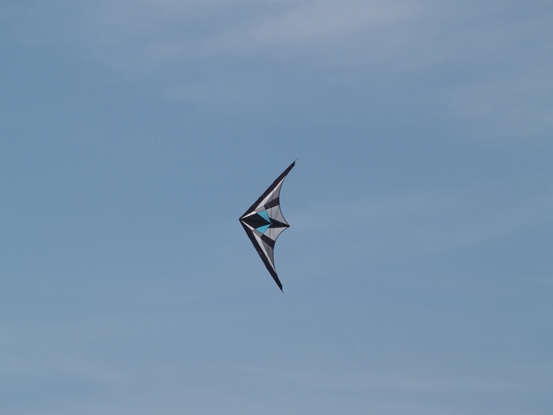 TAGLIATA2008-STACK-0021.jpg - OLYMPUS DIGITAL CAMERA         