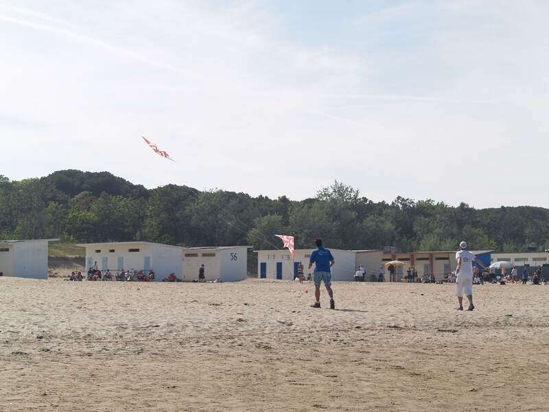 TAGLIATA2008-STACK-0029.jpg - OLYMPUS DIGITAL CAMERA         