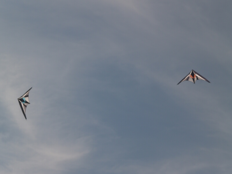 TAGLIATA2008-STACK-0030.jpg - OLYMPUS DIGITAL CAMERA         