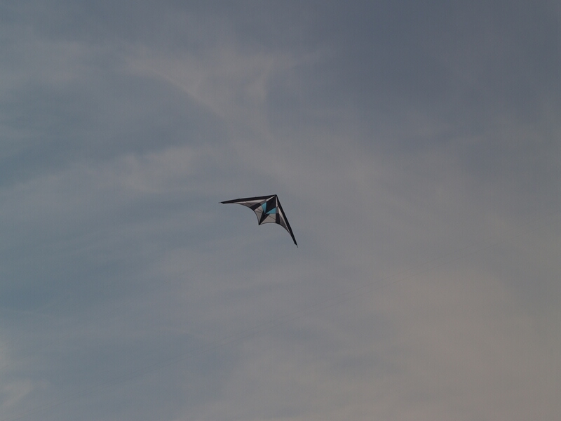 TAGLIATA2008-STACK-0031.jpg - OLYMPUS DIGITAL CAMERA         