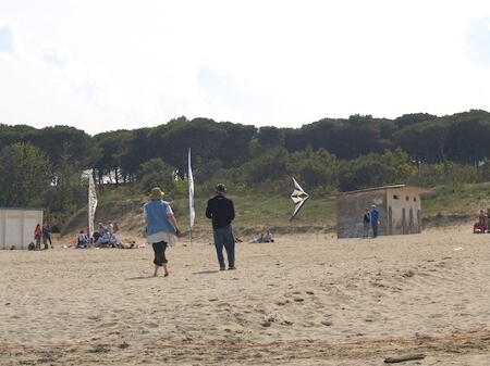 TAGLIATA2008-STACK-0056.jpg - OLYMPUS DIGITAL CAMERA         