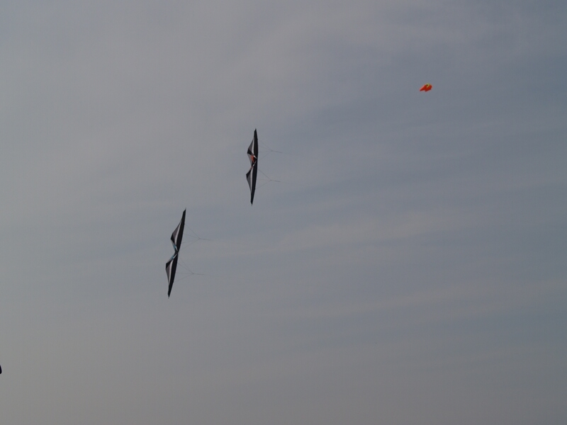 TAGLIATA2008-STACK-0060.jpg - OLYMPUS DIGITAL CAMERA         