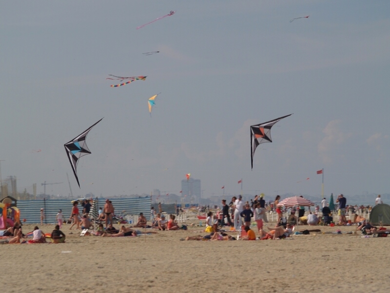 TAGLIATA2008-STACK-0062.jpg - OLYMPUS DIGITAL CAMERA         