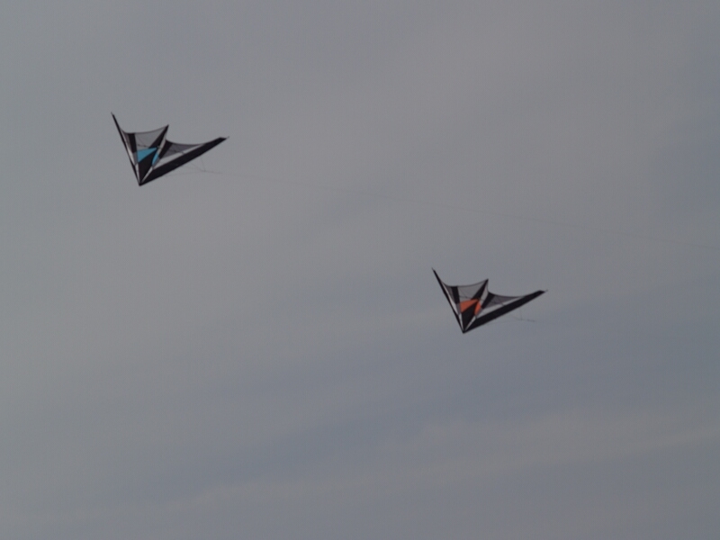 TAGLIATA2008-STACK-0063.jpg - OLYMPUS DIGITAL CAMERA         