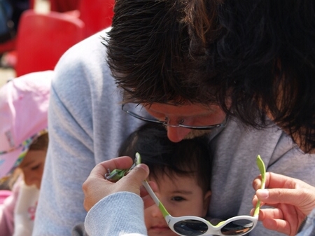 TAGLIATA2008-STACK-0069.jpg - OLYMPUS DIGITAL CAMERA         