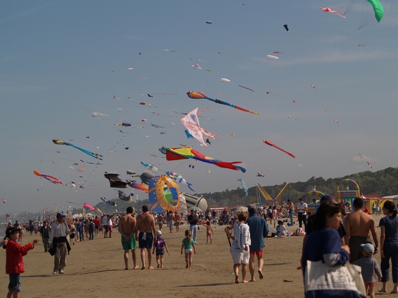 TAGLIATA2008-STACK-0099.jpg - OLYMPUS DIGITAL CAMERA         