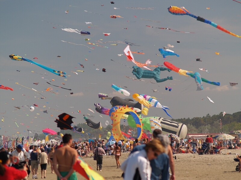 TAGLIATA2008-STACK-0100.jpg - OLYMPUS DIGITAL CAMERA         