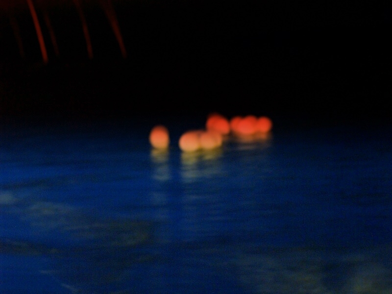 TAGLIATA2008-NM-0005.jpg - OLYMPUS DIGITAL CAMERA         