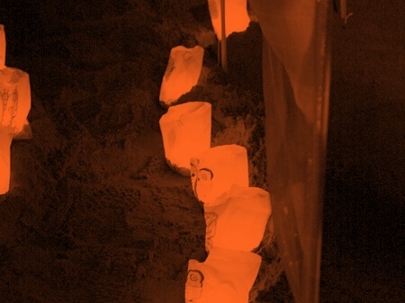 TAGLIATA2008-NM-0007.jpg - OLYMPUS DIGITAL CAMERA         