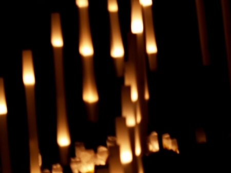 TAGLIATA2008-NM-0010.jpg - OLYMPUS DIGITAL CAMERA         