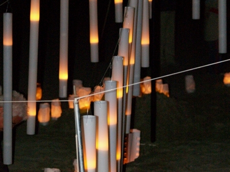 TAGLIATA2008-NM-0011.jpg - OLYMPUS DIGITAL CAMERA         