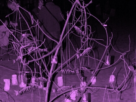 TAGLIATA2008-NM-0013.jpg - OLYMPUS DIGITAL CAMERA         