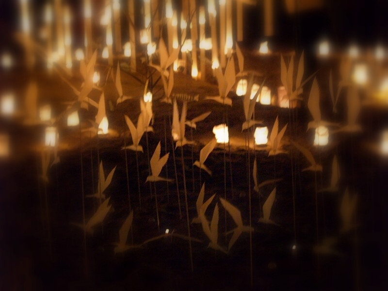 TAGLIATA2008-NM-0022.jpg - OLYMPUS DIGITAL CAMERA         