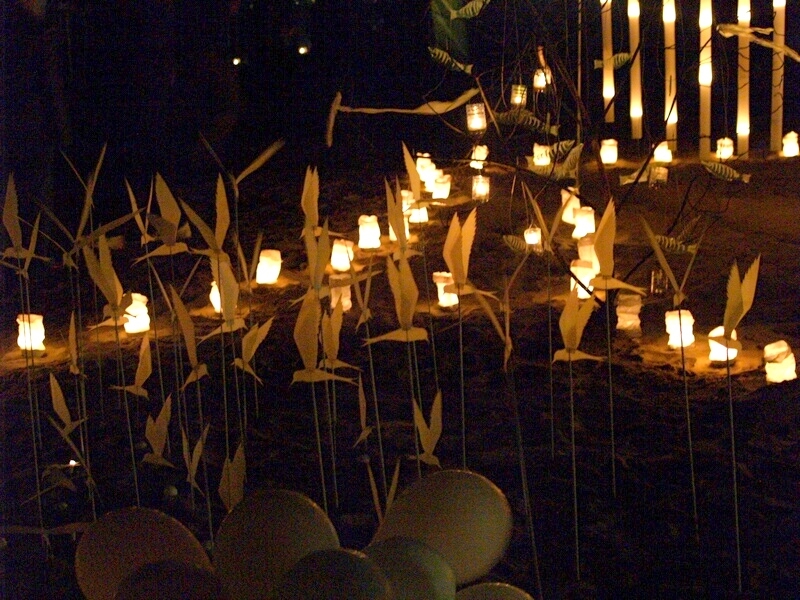 TAGLIATA2008-NM-0024.jpg - OLYMPUS DIGITAL CAMERA         