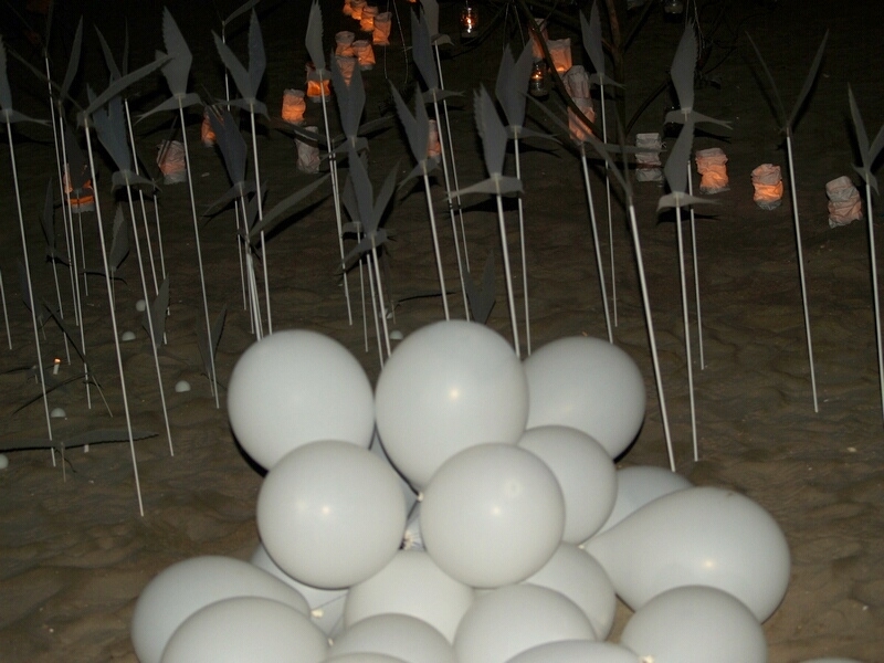 TAGLIATA2008-NM-0026.jpg - OLYMPUS DIGITAL CAMERA         