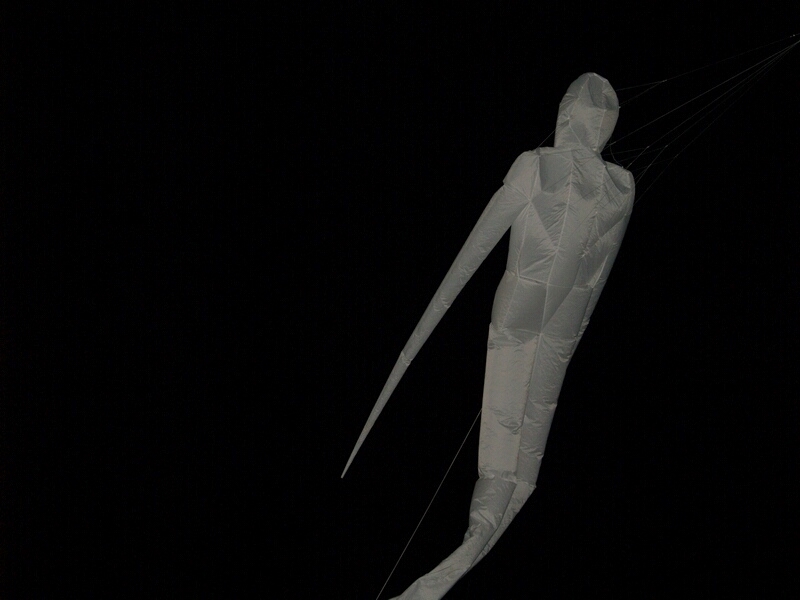 TAGLIATA2008-NM-0027.jpg - OLYMPUS DIGITAL CAMERA         