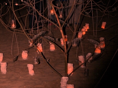 TAGLIATA2008-NM-0030.jpg - OLYMPUS DIGITAL CAMERA         