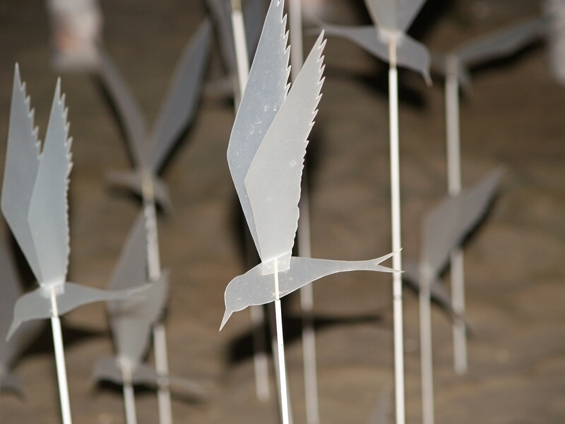 TAGLIATA2008-NM-0031.jpg - OLYMPUS DIGITAL CAMERA         