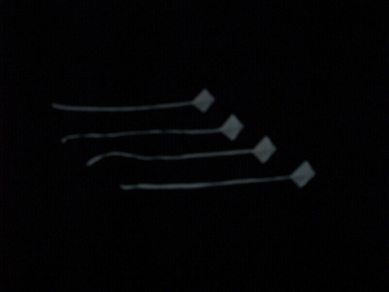 TAGLIATA2008-NM-0032.jpg - OLYMPUS DIGITAL CAMERA         