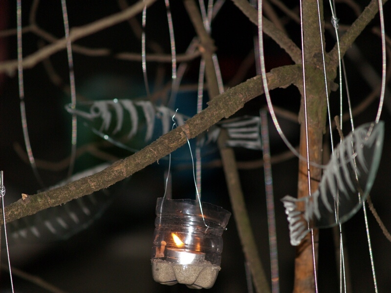 TAGLIATA2008-NM-0034.jpg - OLYMPUS DIGITAL CAMERA         