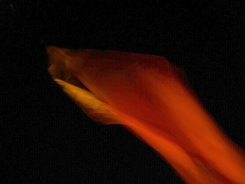 TAGLIATA2008-NM-0036.jpg - OLYMPUS DIGITAL CAMERA         