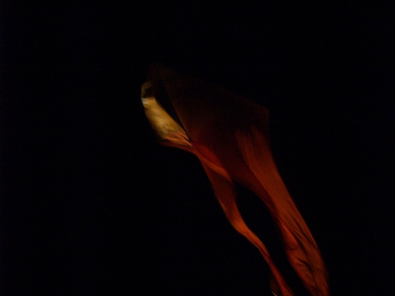 TAGLIATA2008-NM-0037.jpg - OLYMPUS DIGITAL CAMERA         