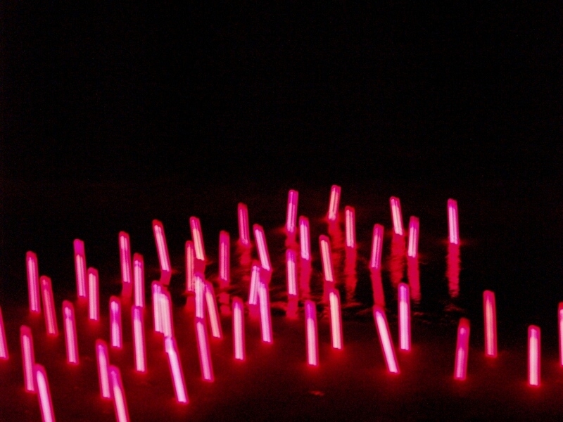 TAGLIATA2008-NM-0040.jpg - OLYMPUS DIGITAL CAMERA         