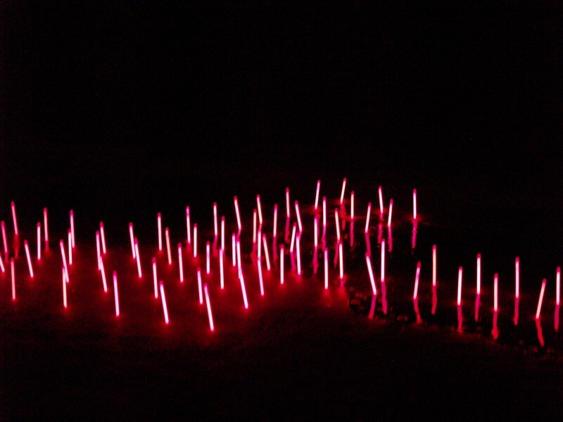 TAGLIATA2008-NM-0041.jpg - OLYMPUS DIGITAL CAMERA         