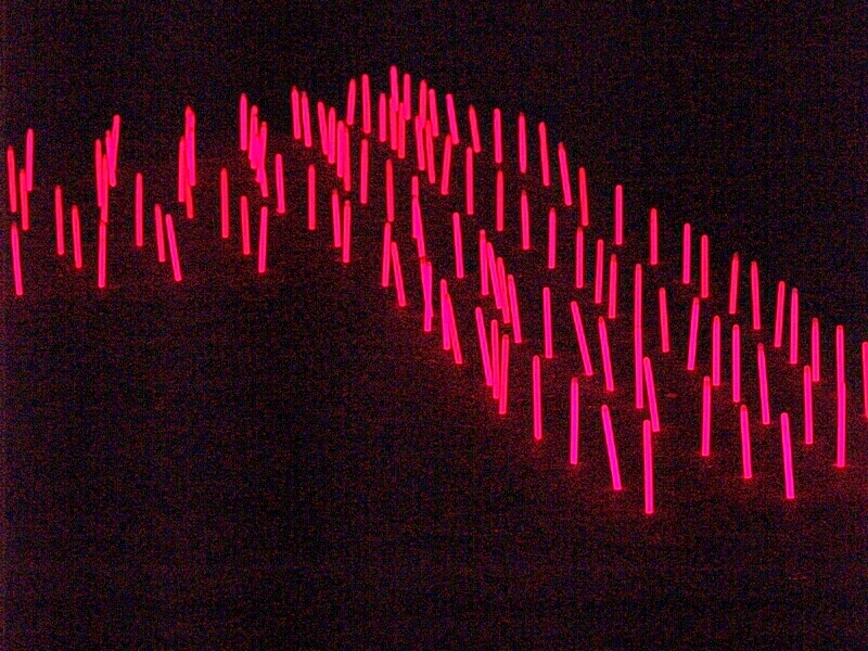 TAGLIATA2008-NM-0042.jpg - OLYMPUS DIGITAL CAMERA         