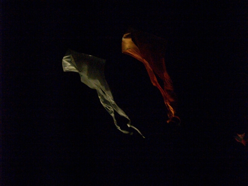 TAGLIATA2008-NM-0043.jpg - OLYMPUS DIGITAL CAMERA         