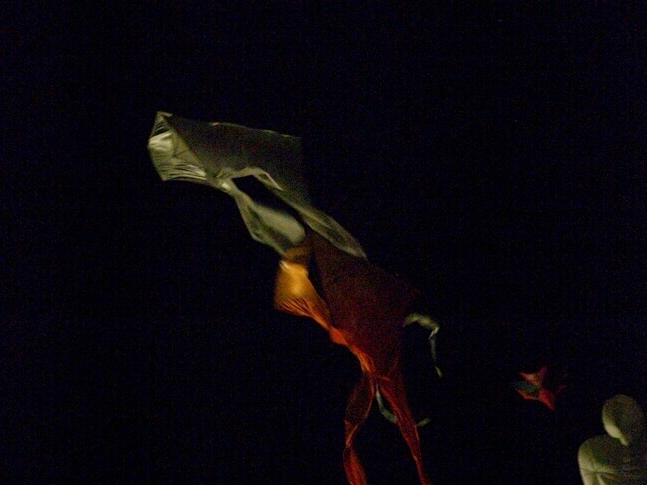 TAGLIATA2008-NM-0044.jpg - OLYMPUS DIGITAL CAMERA         