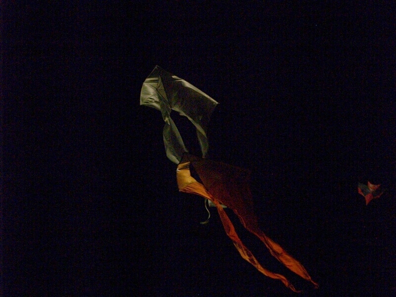 TAGLIATA2008-NM-0046.jpg - OLYMPUS DIGITAL CAMERA         